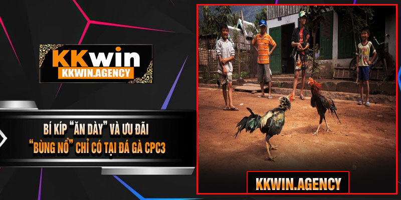 Bí Kíp “Ăn Dày” Và Ưu Đãi “Bùng Nổ” Chỉ Có Tại Đá Gà CPC3