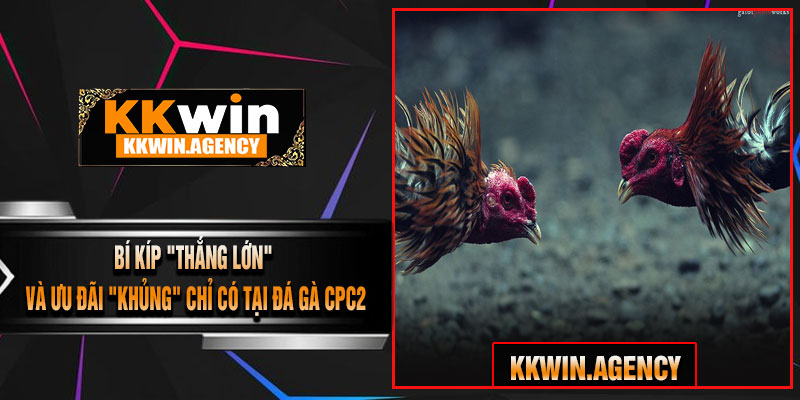 Bí Kíp "Thắng Lớn" Và Ưu Đãi "Khủng" Chỉ Có Tại Đá Gà CPC2