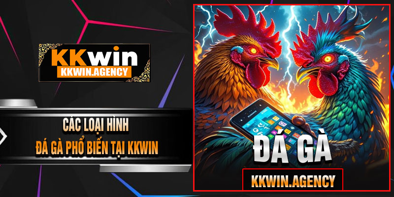Các Loại Hình Đá Gà Phổ Biến Tại KKWIN