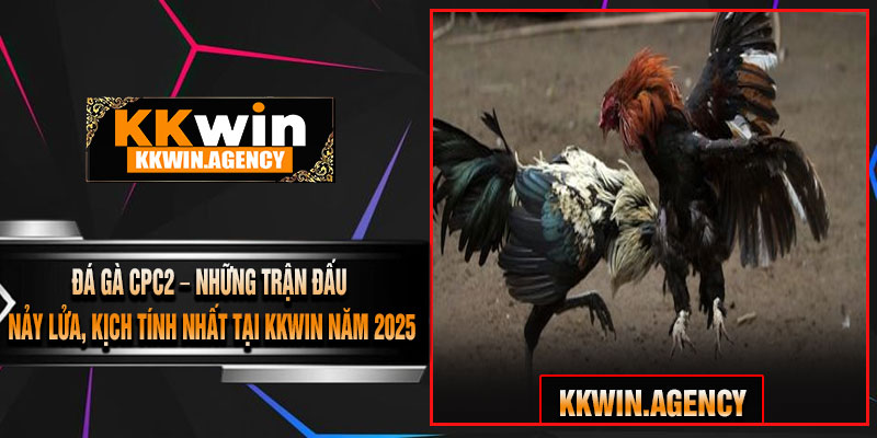 Đá Gà CPC2 – Những Trận Đấu Nảy Lửa, Kịch Tính Nhất Tại KKWIN Năm 2025