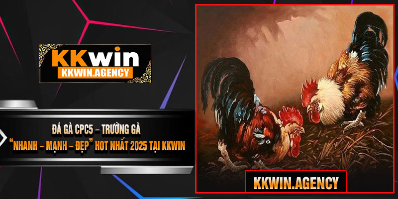 Đá Gà CPC5 – Trường Gà “Nhanh – Mạnh – Đẹp” Hot Nhất 2025 Tại KKWIN