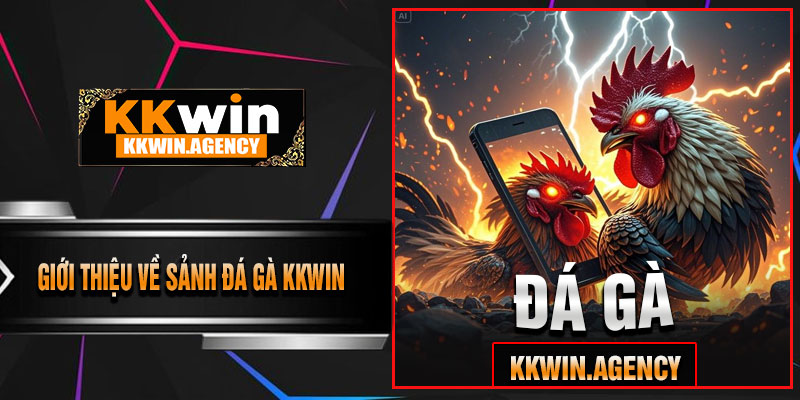 Giới Thiệu Về Sảnh Đá Gà KKWIN
