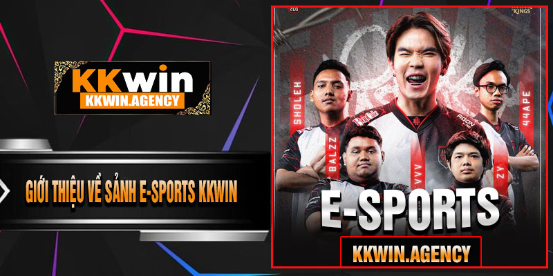 Giới Thiệu Về Sảnh E-Sports KKWIN