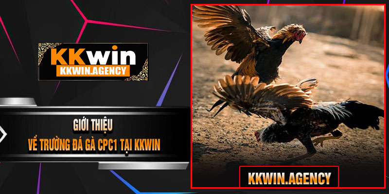 Giới Thiệu Về Trường Đá Gà CPC1 Tại KKWIN