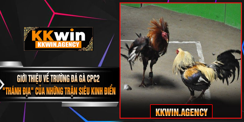 Giới Thiệu Về Trường Đá Gà CPC2 – "Thánh Địa" Của Những Trận Siêu Kinh Điển