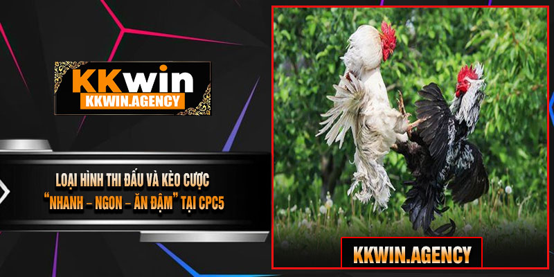 Loại Hình Thi Đấu Và Kèo Cược “Nhanh – Ngon – Ăn Đậm” Tại CPC5