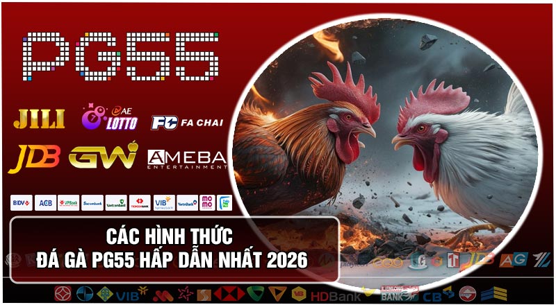 Các Hình Thức Đá Gà PG55 Hấp Dẫn Nhất 2026