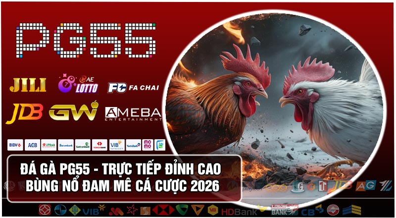 Đá Gà PG55 - Trực Tiếp Đỉnh Cao Bùng Nổ Đam Mê Cá Cược 2026