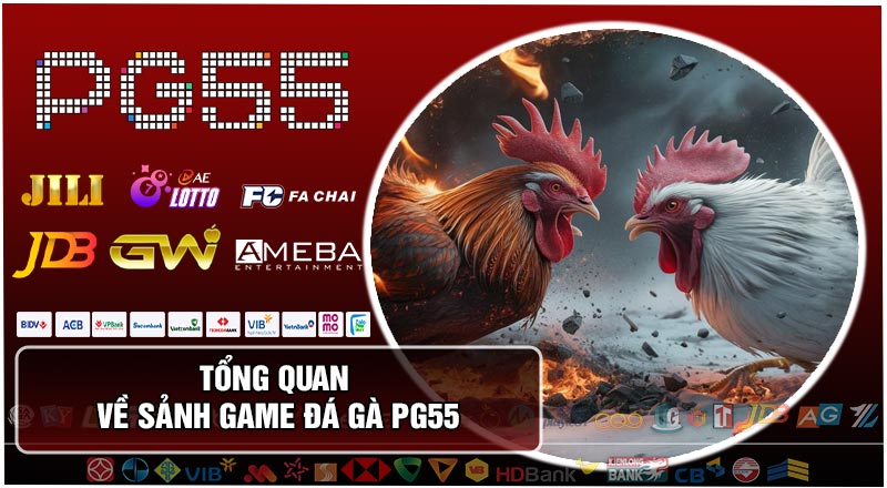 Tổng Quan Về Sảnh Game Đá Gà PG55